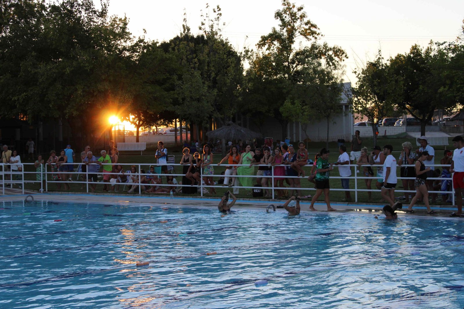 Participación masiva en el Concurso de Natación Villa de Miajadas, un éxito en la XXXVII edición
