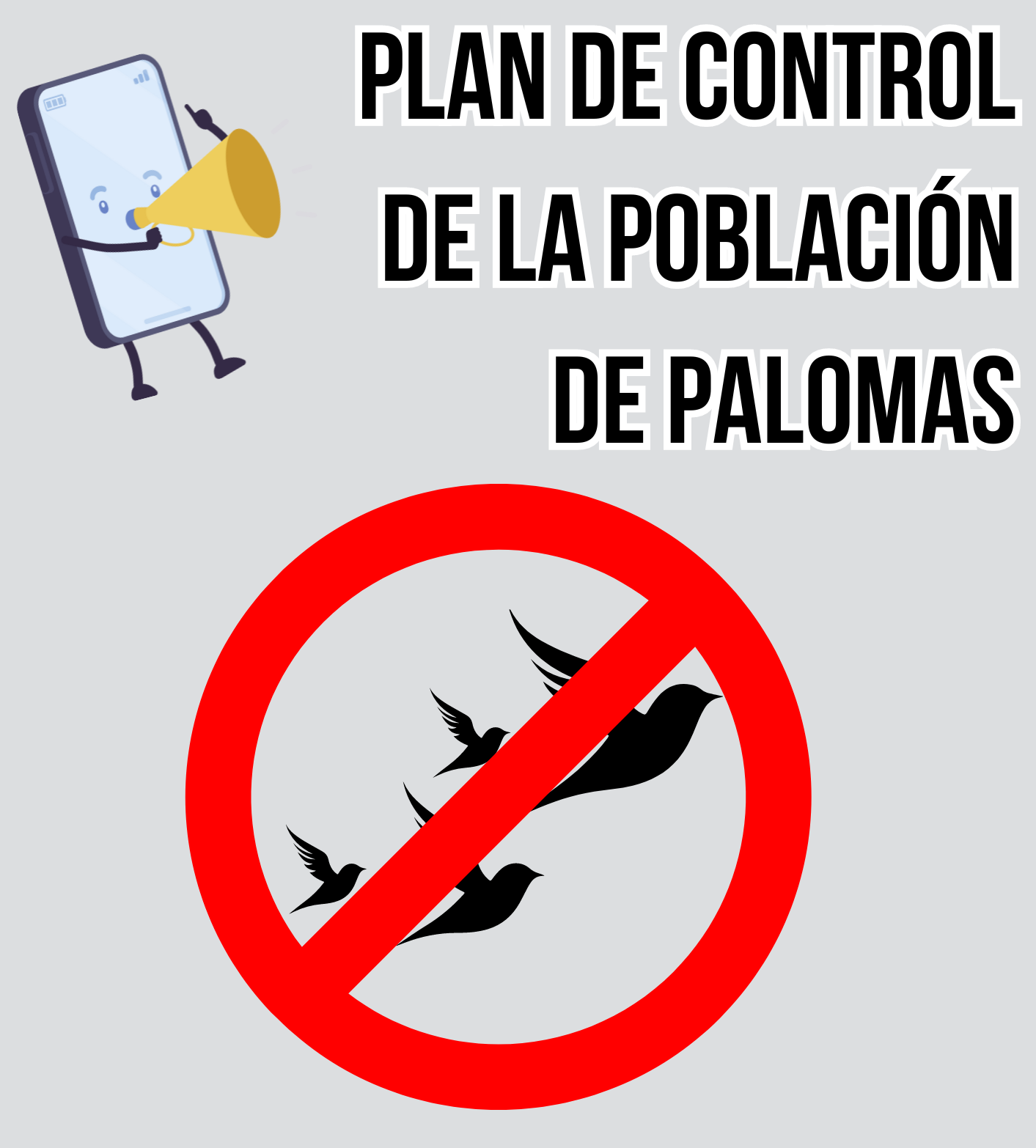 Inicia mañana un plan integral de control de palomas en Miajadas: Precios y Servicios Especializados