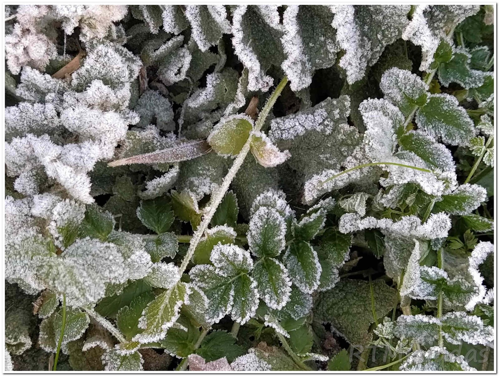 112 Extremadura Implementa el Plan Nacional de Protección contra Bajas Temperaturas en Extremadura para la Seguridad de Todos