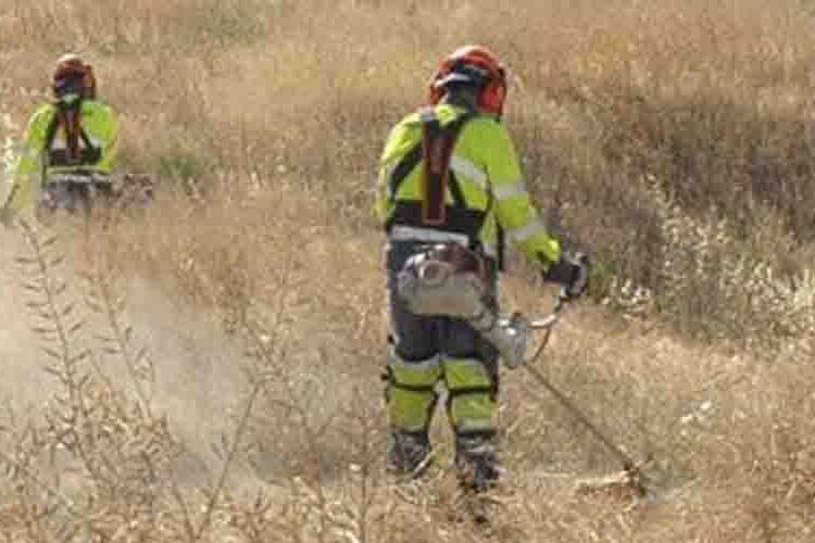Propietarios de solares urbanos deben desbrozar y limpiar sus terrenos antes del 31 de mayo.