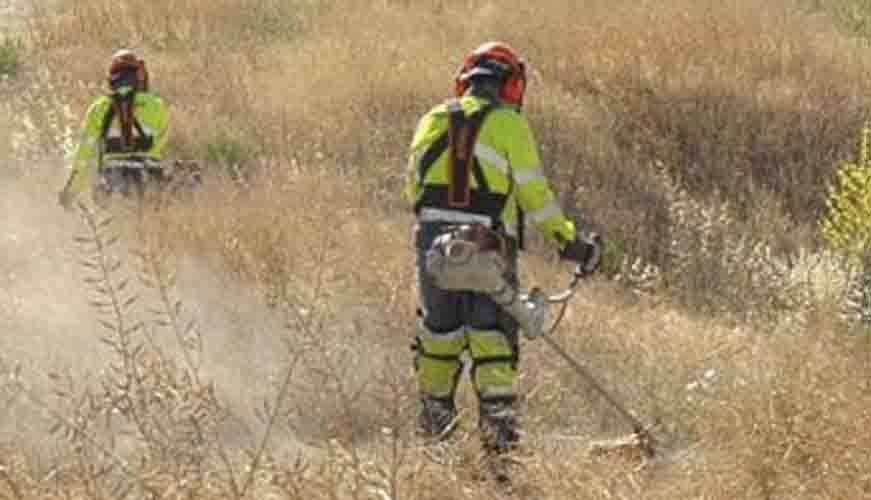 Propietarios de solares urbanos deben desbrozar y limpiar sus terrenos antes del 31 de mayo.