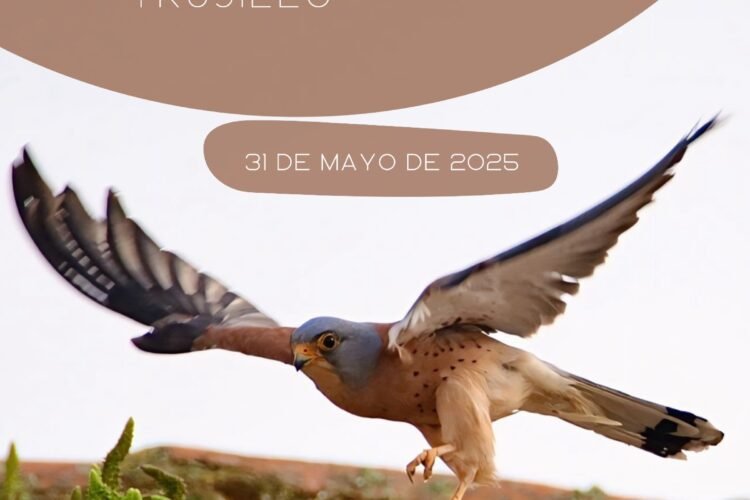 Reconocimiento destacado a Manuel García Ortiz en el I Festival del Cernícalo Primilla