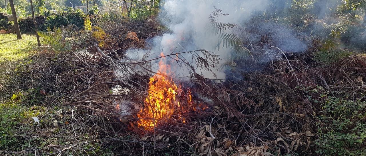 Época de alto riesgo de incendios forestales entre el 1 de junio y el 15 de octubre: medidas de autoprotección obligatorias