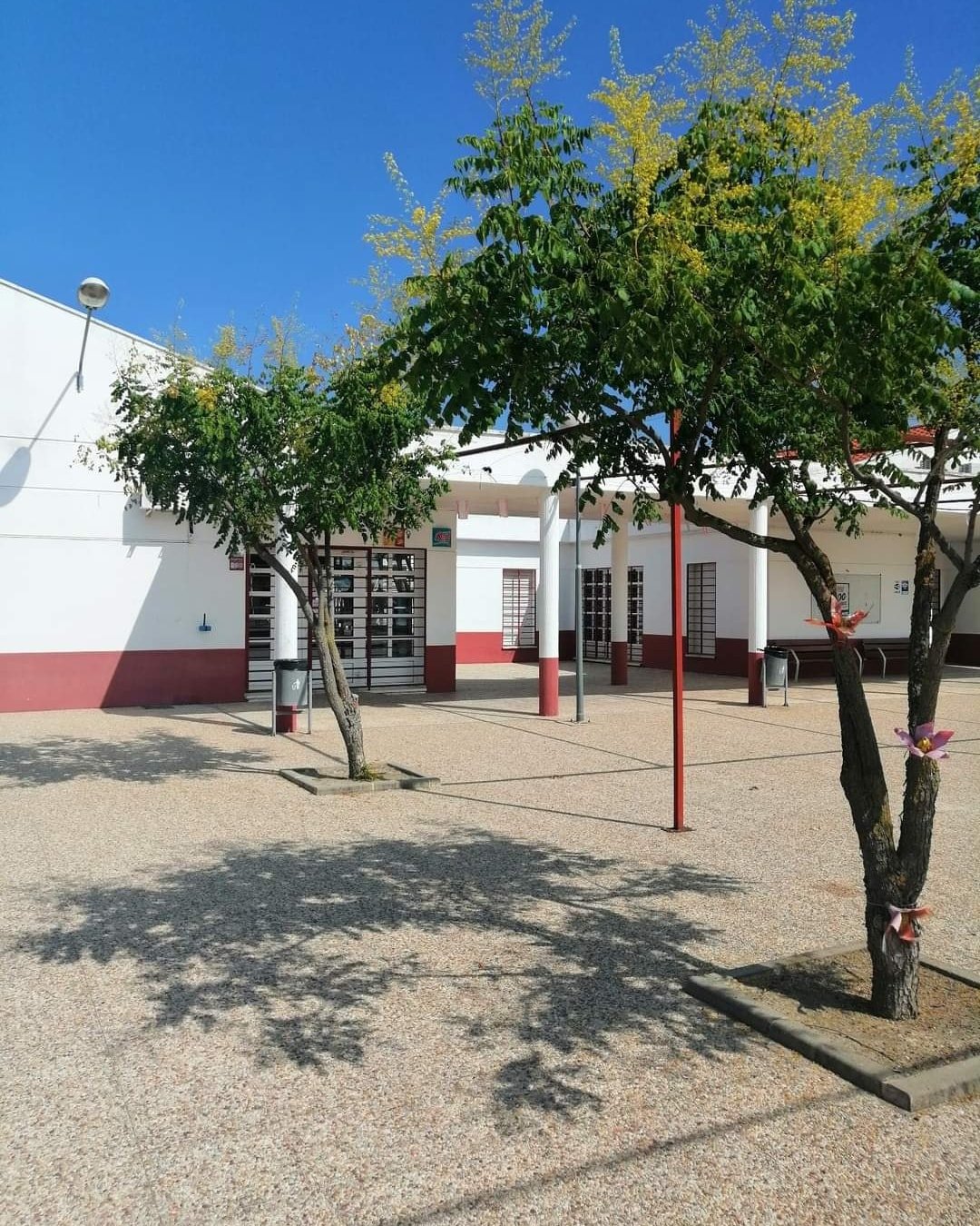 Licitación abierta para gestionar el bar-cafetería del Centro Social Alonso de Ojeda, ¡participa ya!