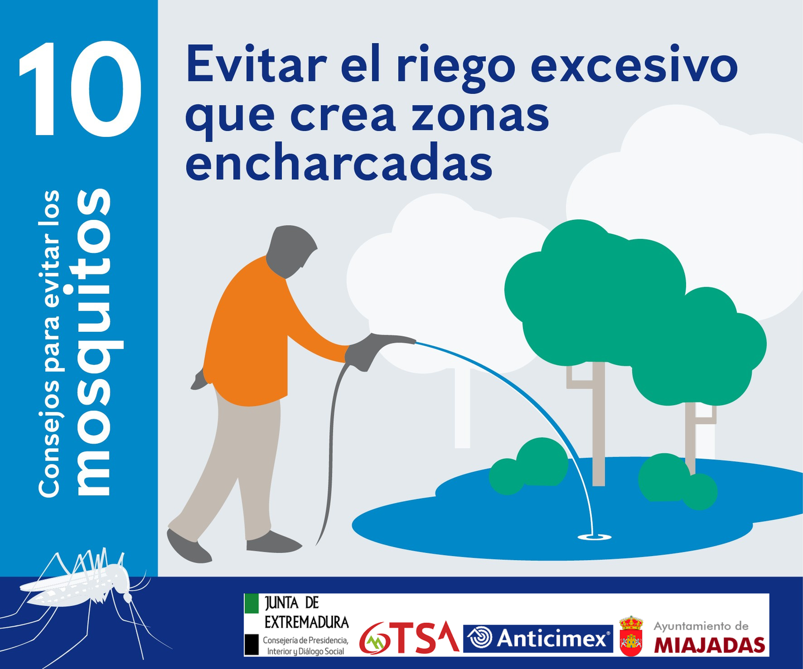 Estrategia integral contra la proliferación de mosquitos en Miajadas, Alonso de Ojeda y Casar de Miajadas esta semana