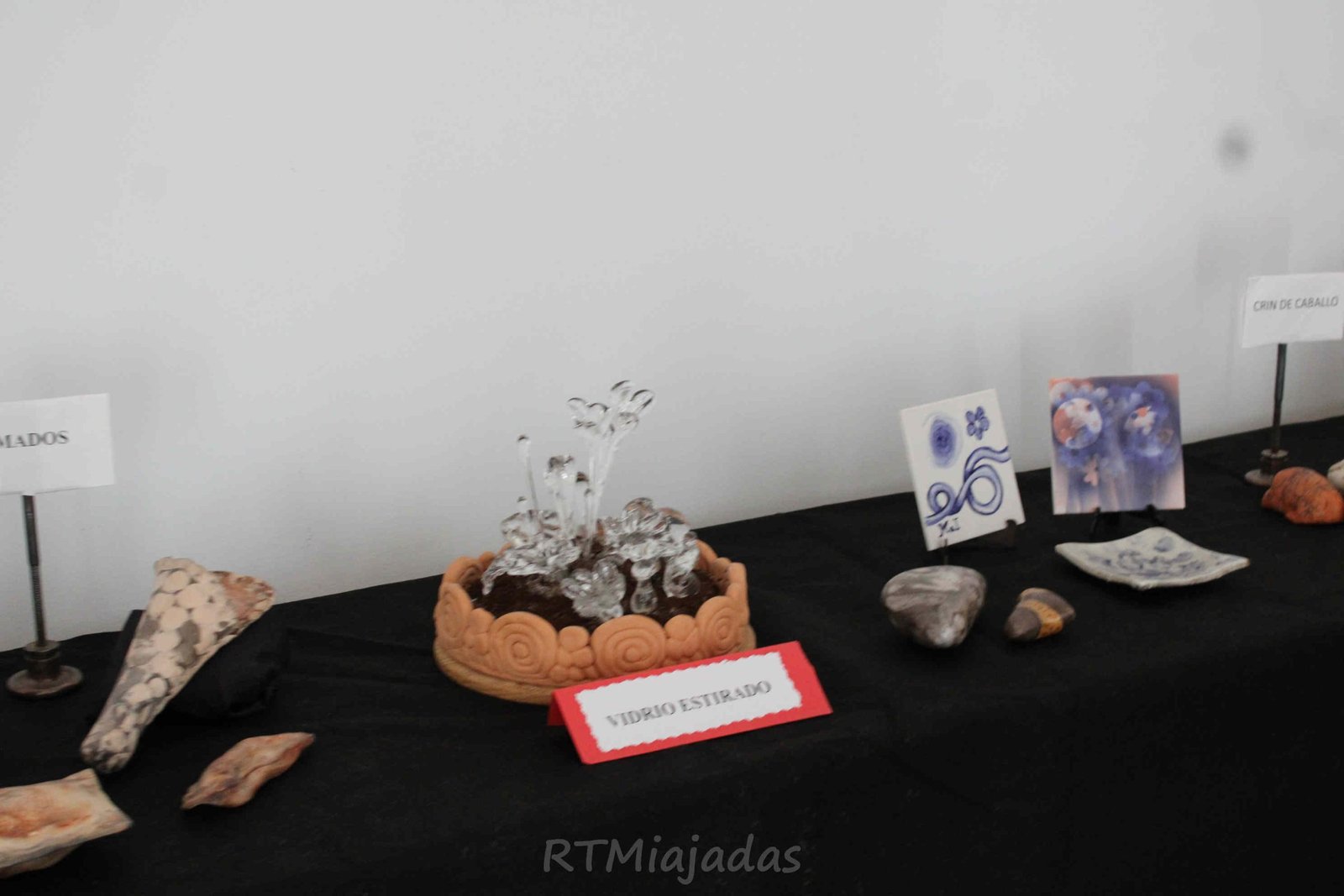 Visita ya las exposiciones de la Feria 2025, abiertas hasta el 17 de agosto para disfrutar al máximo