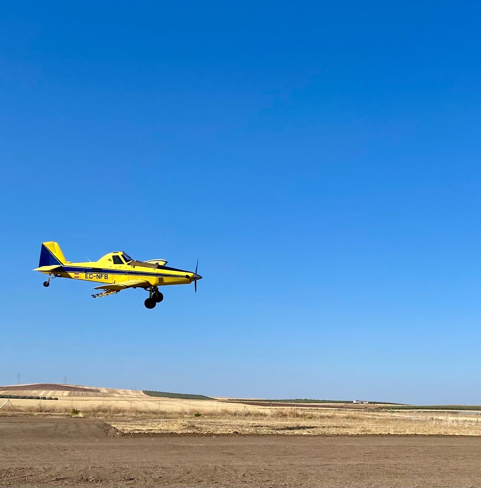 Agricultura arranca hoy campaña aérea para frenar la pudenta que afecta cultivos de arroz en la región
